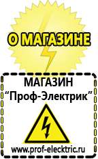 Магазин электрооборудования Проф-Электрик Автомобильные инверторы в Рошале